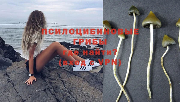 2c-b Кулебаки