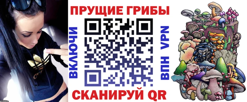 Псилоцибиновые грибы Psilocybine cubensis  Киренск 
